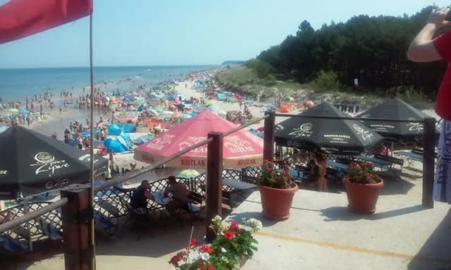Karwia gdzie zjeść – najlepsze miejsca na pyszne posiłki nad morzem Karwia gdzie zjeść – najlepsze miejsca na pyszne posiłki nad morzem